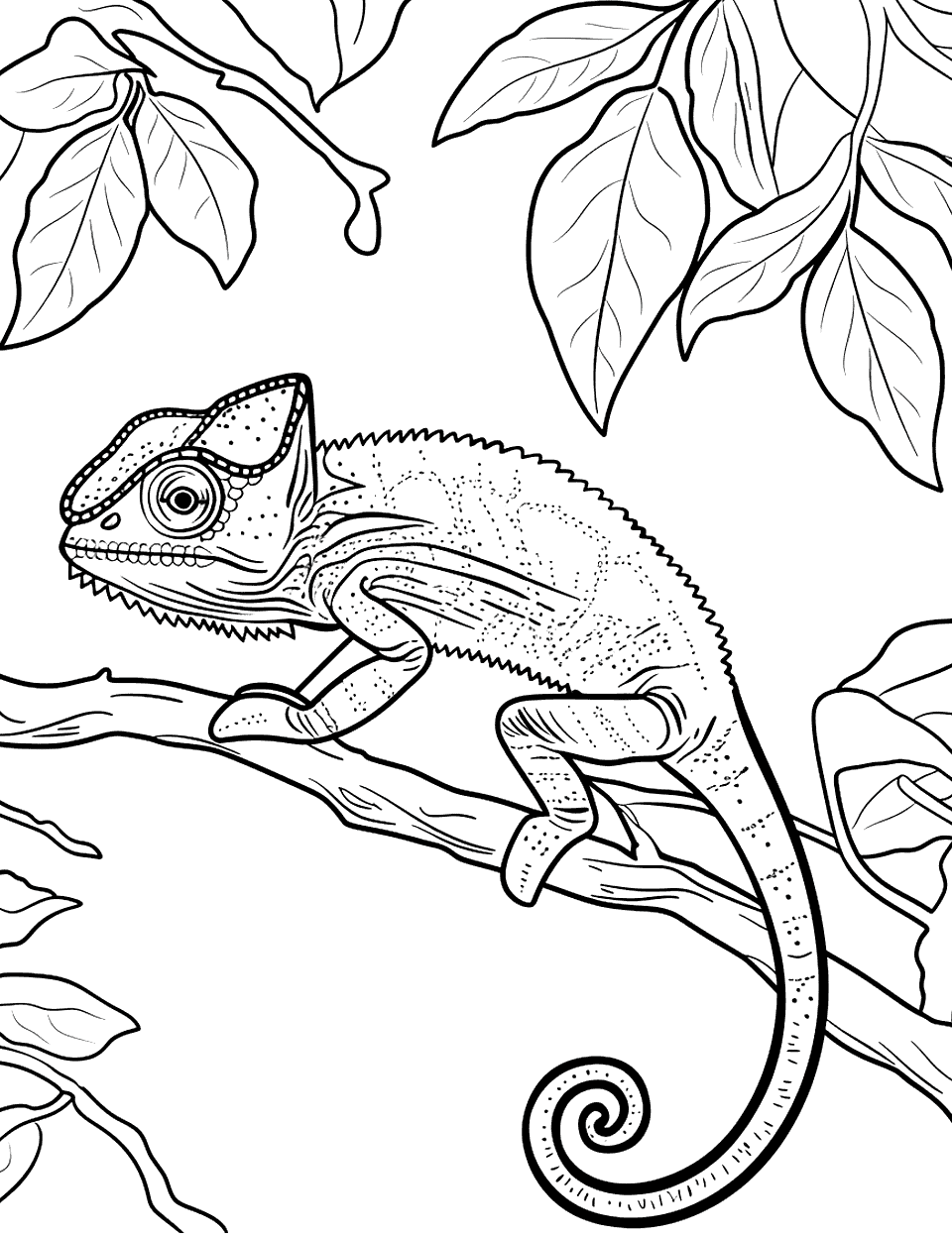 Chameleon Changing Colors Lizard Coloring Page - A chameleon on a simple branch, ready to shift its colors to blend with the green leaves.