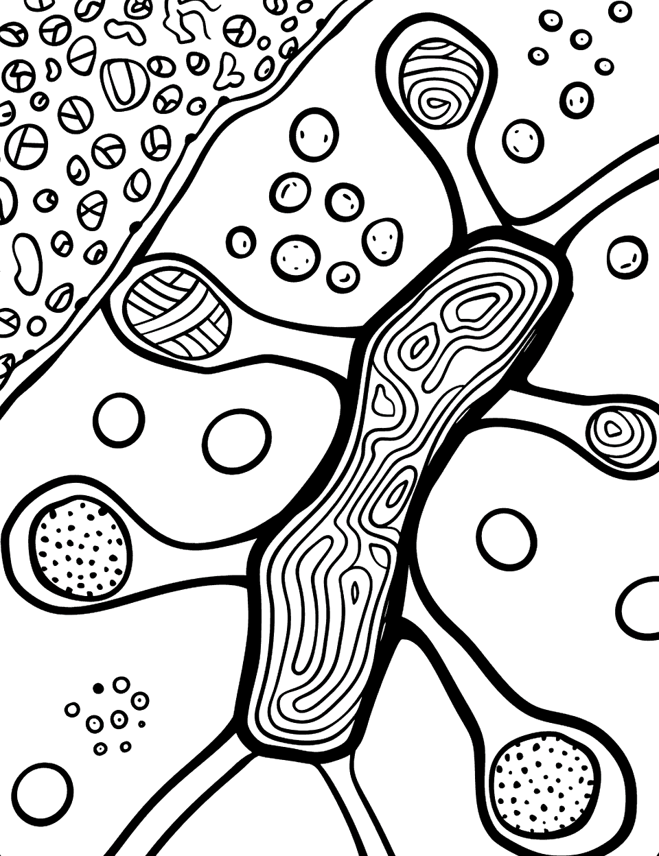 Under the Microscope Science Coloring Page - A close-up view of a cell structure, with mitochondria, nucleus, and cell wall clearly visible.