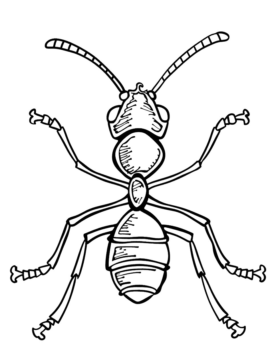 Insect Anatomy Science Coloring Page - A large, detailed drawing of an ant showing its head, thorax, abdomen, and legs.