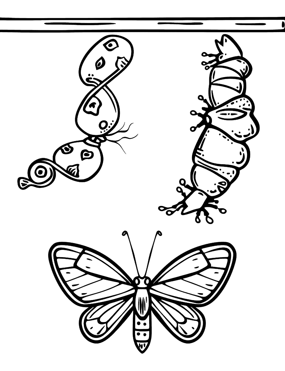 Butterfly Metamorphosis Science Coloring Page - Stages of a butterfly’s life, from caterpillar to cocoon to butterfly, all on a single page.