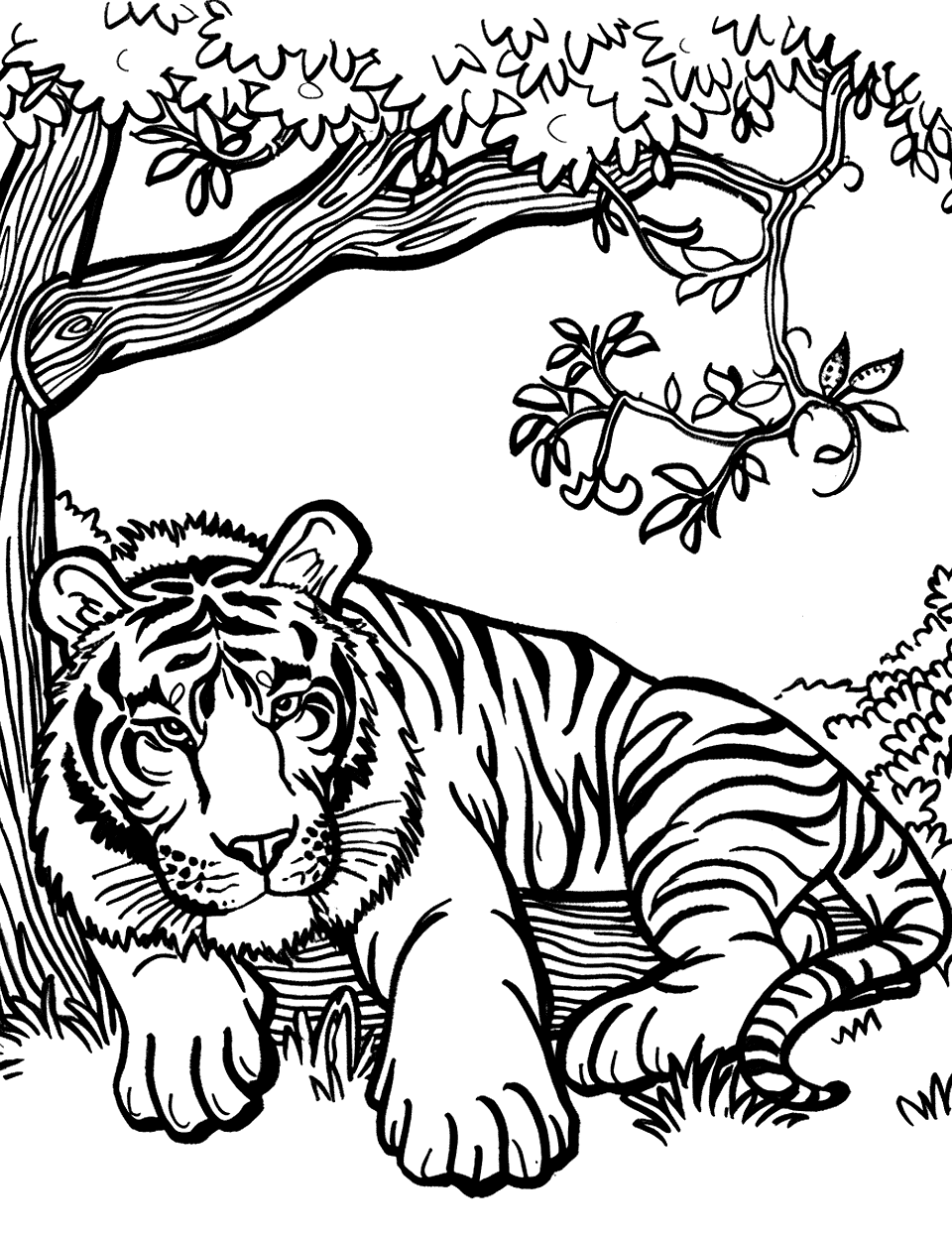 Tiger Resting Under a Tree Zoo Coloring Page - A tiger is lounging peacefully under the shade of a tree.