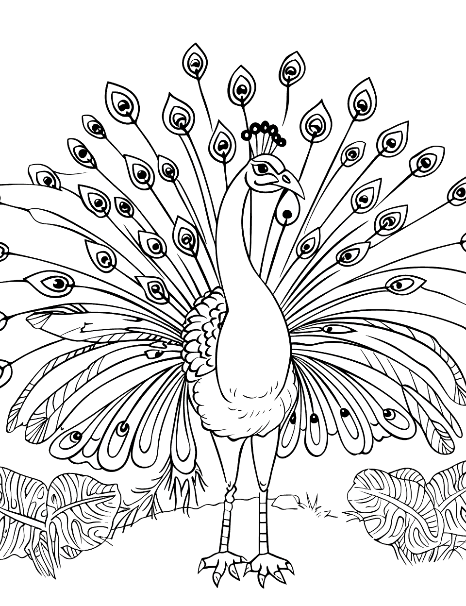 Peacock Spreading Its Feathers Zoo Coloring Page - A peacock displaying its feathers in full fan.