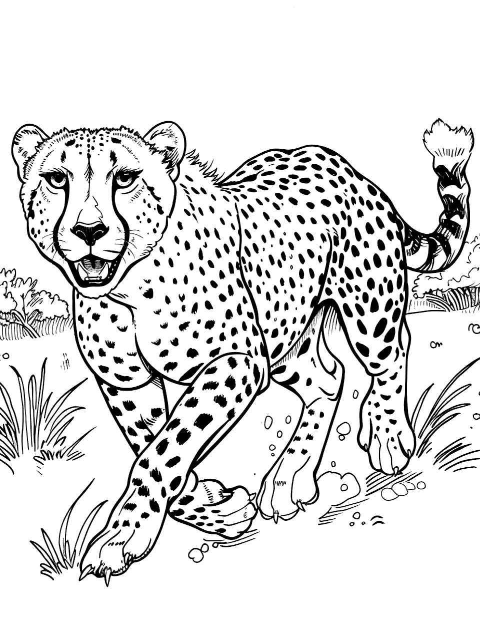 Cheetah Running Fast Zoo Coloring Page - A cheetah sprints across the savannah at high speed.