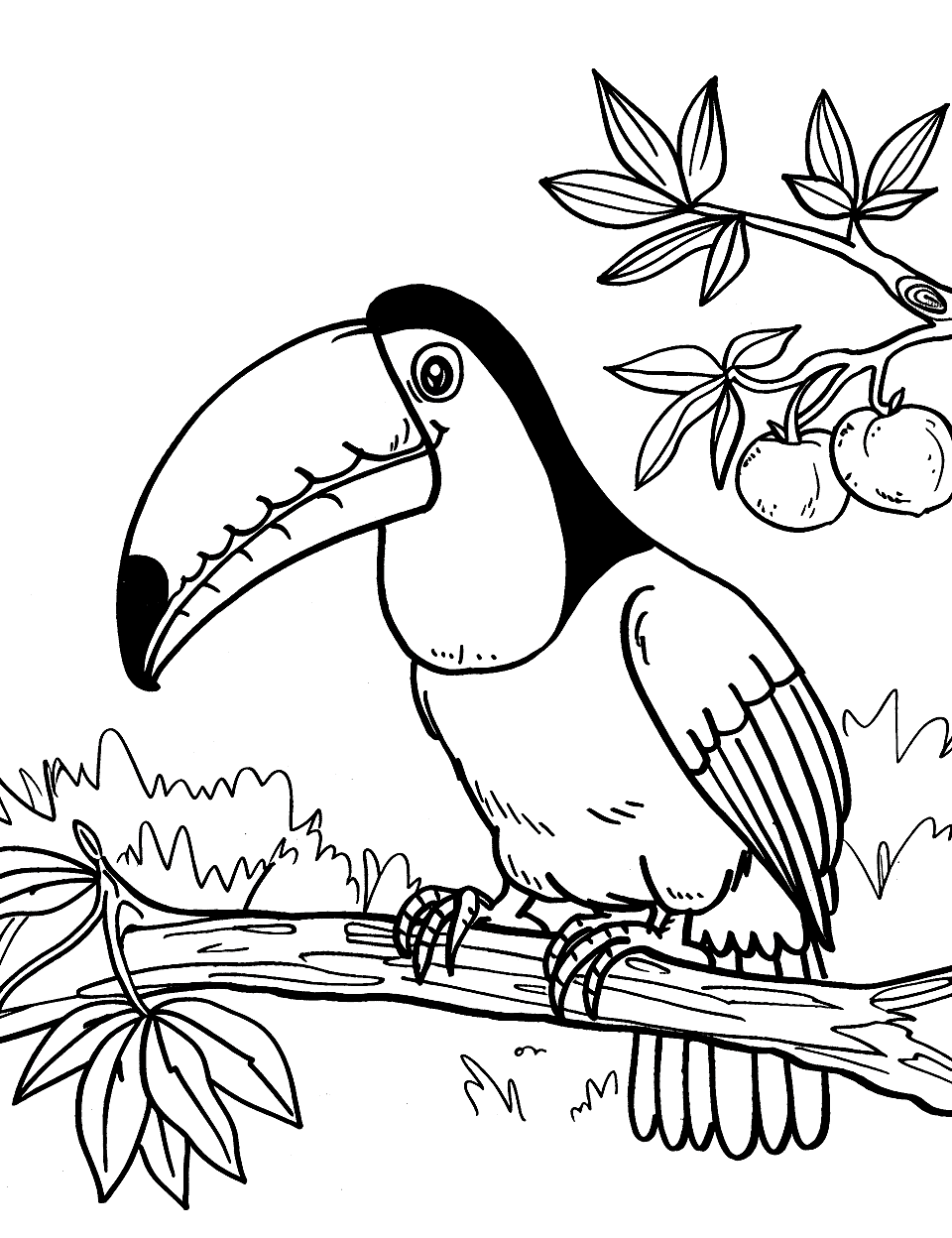 Toucan in a Tree Zoo Coloring Page - A toucan perched on a tree branch with its bright beak prominent.