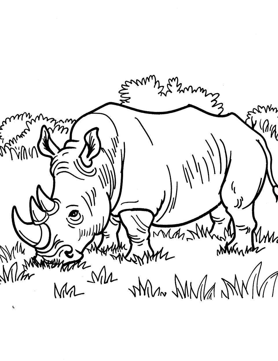 Rhino Grazing on Grass Zoo Coloring Page - A rhino is calmly eating grass in an open field.