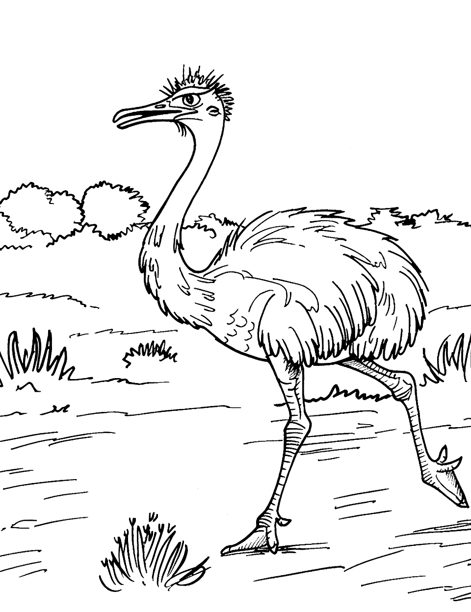 Ostrich Running Zoo Coloring Page - An ostrich running across a flat plain, its long legs in stride.