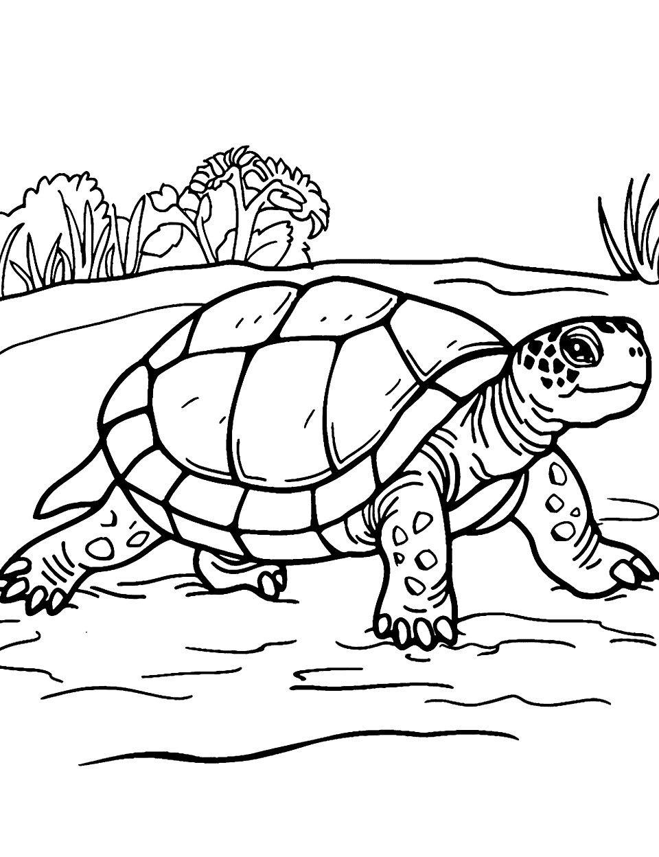 Turtle Walking Slowly Zoo Coloring Page - A turtle making its way slowly across a patch of sand.