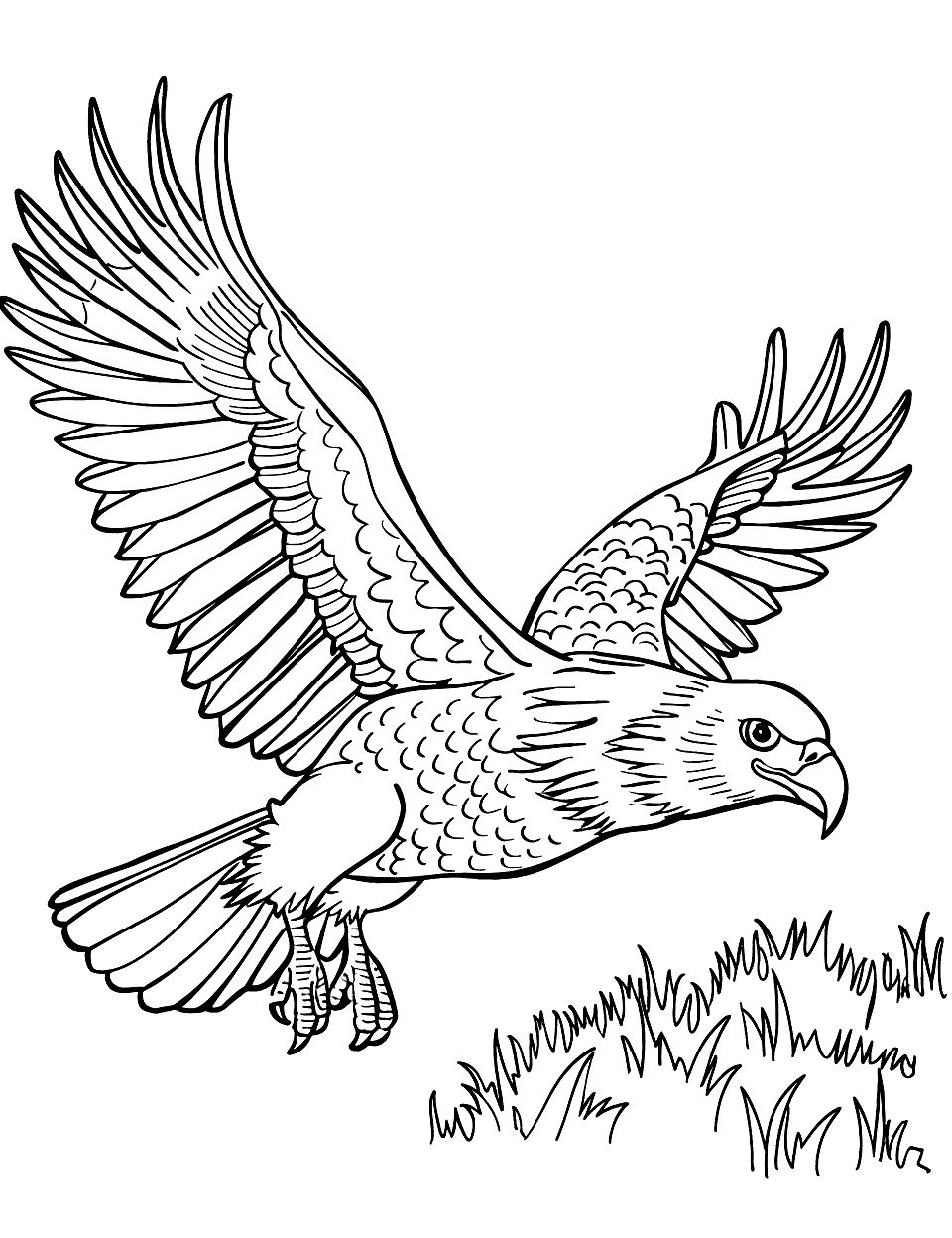 Bald Eagle Flying Zoo Coloring Page - A bald eagle soaring high above with its wings spread wide.