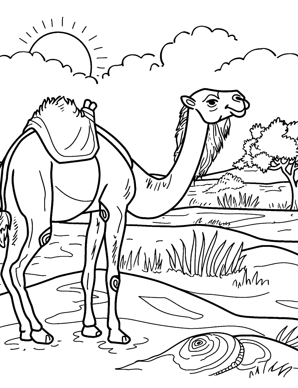 Camel in the Desert Zoo Coloring Page - A camel walking across the desert with a background of sand dunes.