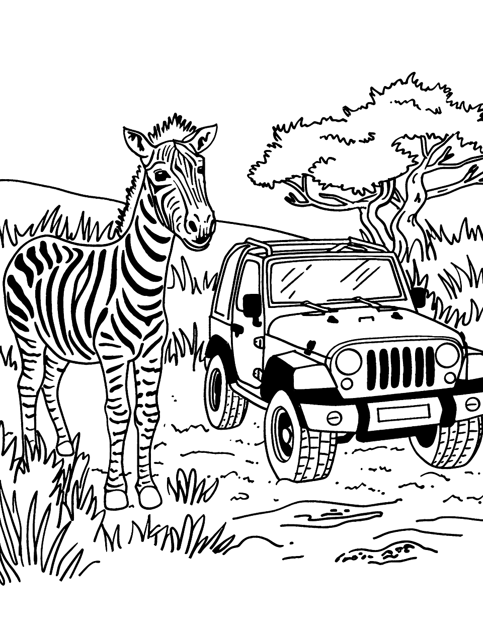 Safari Jeep with a Zebra Zoo Coloring Page - A zebra standing next to a safari jeep on a dirt road.