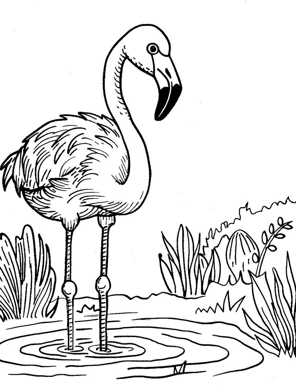 Flamingo Standing in Water Zoo Coloring Page - One flamingo stands in shallow water and the ripples spread out in neat rings around its legs. The body feathers are drawn in soft, curved lines that take pink beautifully, from a pale blush at the belly to a deeper shade across the back. Reeds and broad leaves fill the right side of the page. The tip of the beak is already inked solid, which hands you a contrast point for free.