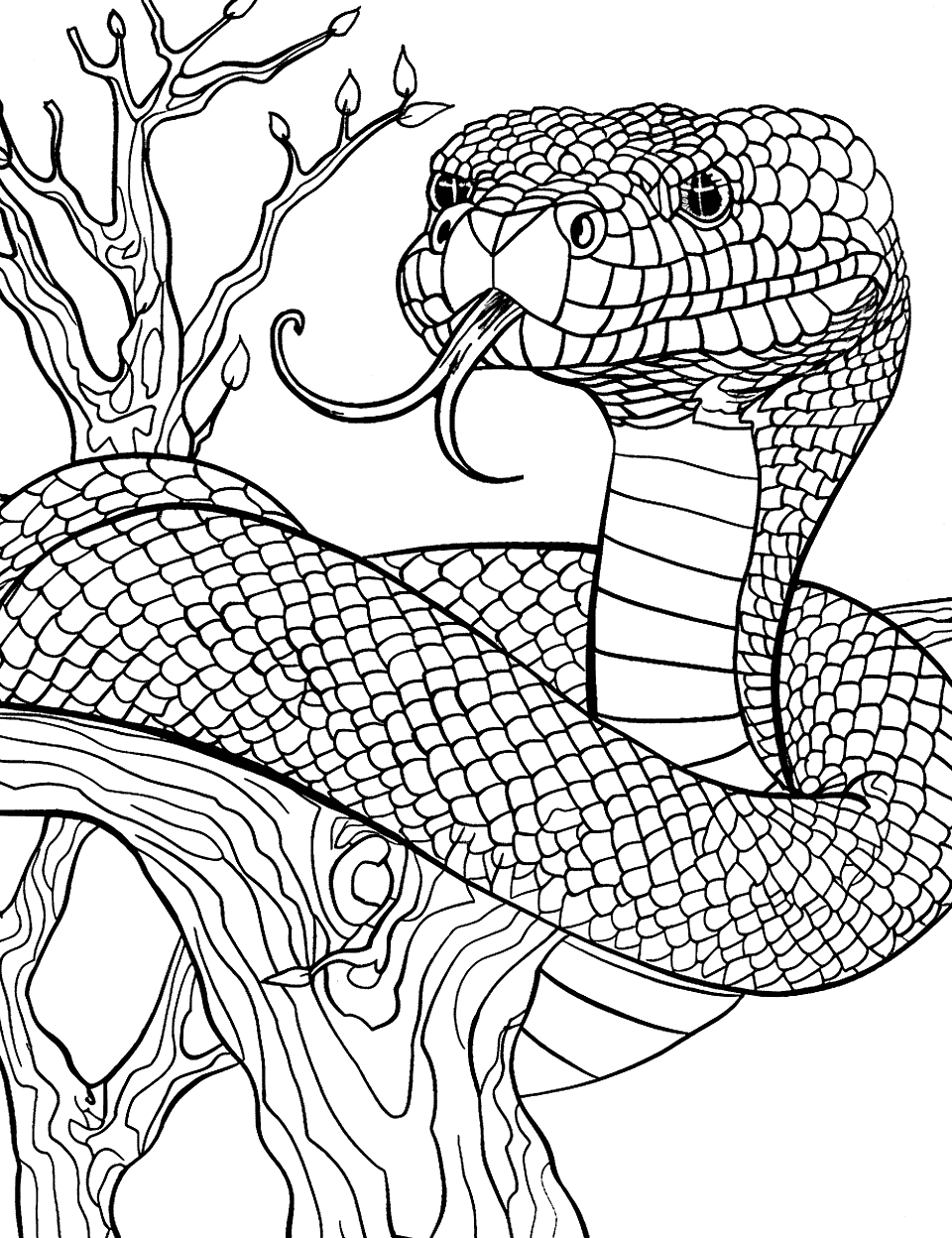 Snake Coiled Around a Branch Zoo Coloring Page - A snake wrapped around a tree branch, with its head raised.