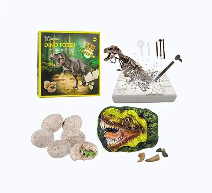 Product Image of the 10Leccion Dino Fossil Kit