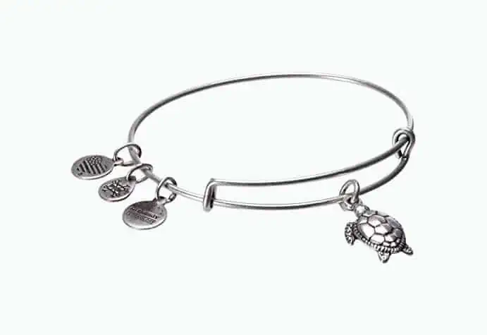 Product Image of the Alex and Ani Turtle Bangle