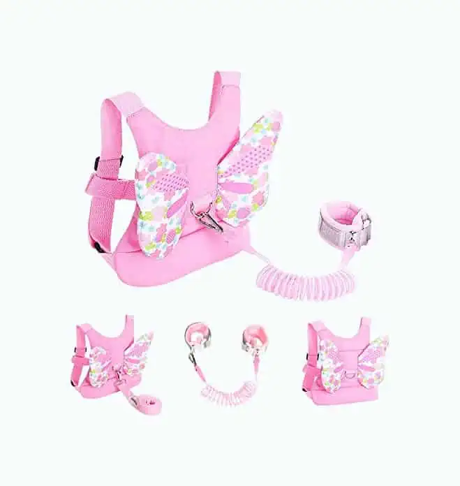 Product Image of the Angel Wings Harness & Leash