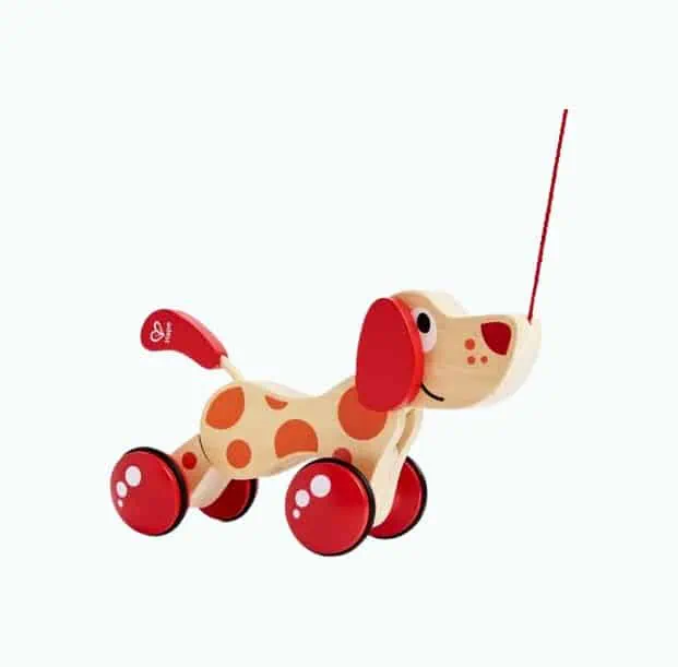 Product Image of the Award Winning Pull Toy