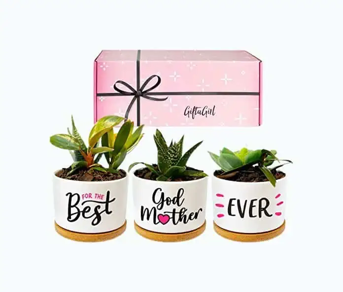 Product Image of the Best Godmother Ever Succulent Pot