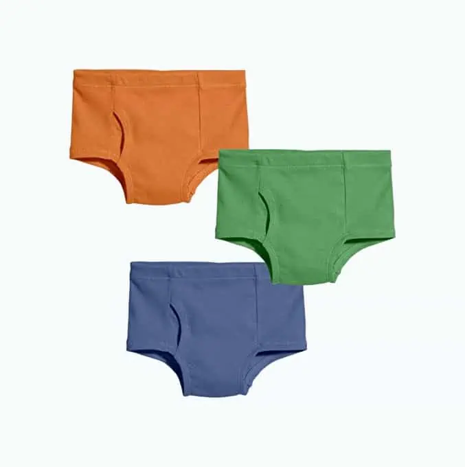Product Image of the City Threads Organic Cotton Underwear