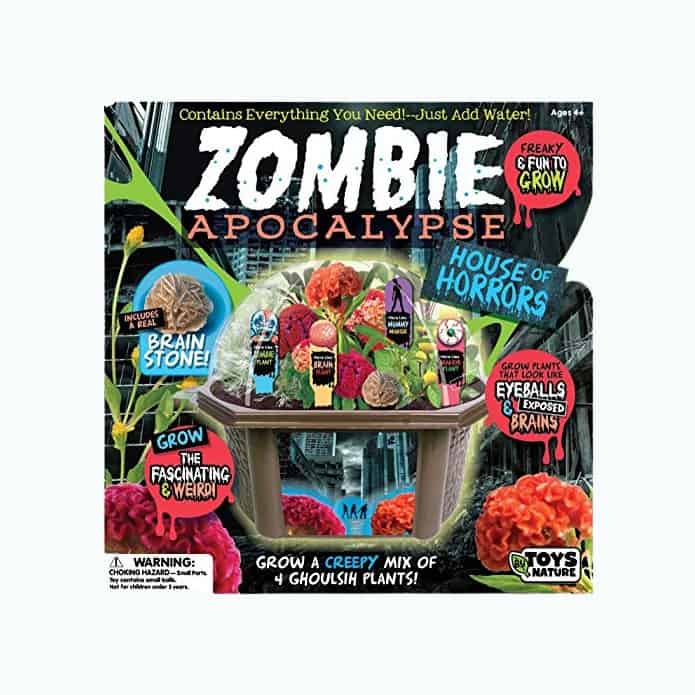 Product Image of the Create Your Own Zombie Apocalypse