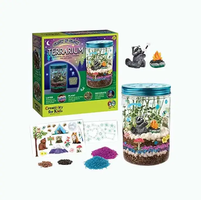 Product Image of the Creativity for Kids Grow 'n Glow Terrarium