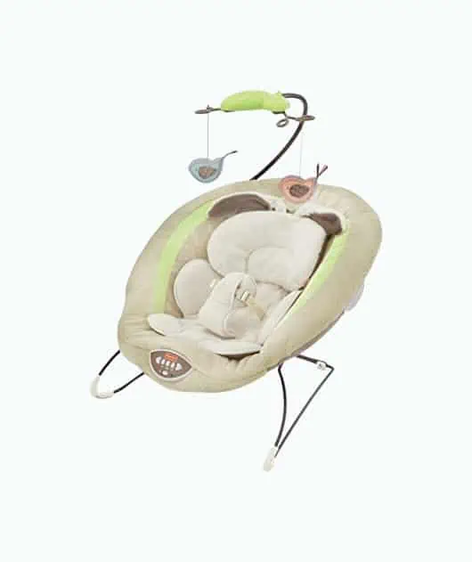 Product Image of the Fisher-Price Deluxe