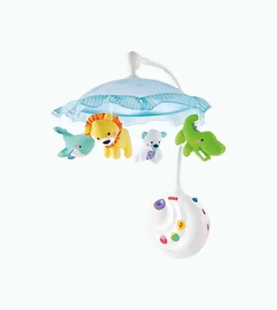 Product Image of the Fisher-Price Precious Planet