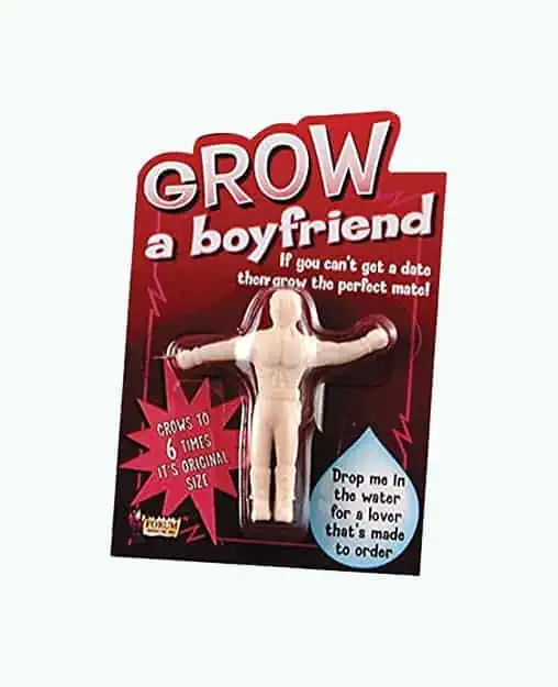 Product Image of the Grow a Boyfriend Novelty Item