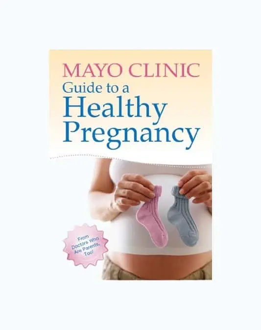 Product Image of the Guide To A Healthy Pregnancy
