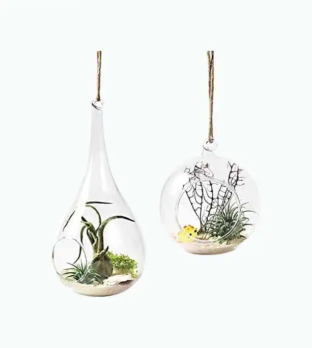 Product Image of the Hanging Planter Air Fern Holder