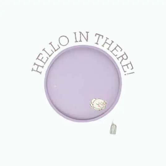 Product Image of the Hello in There!