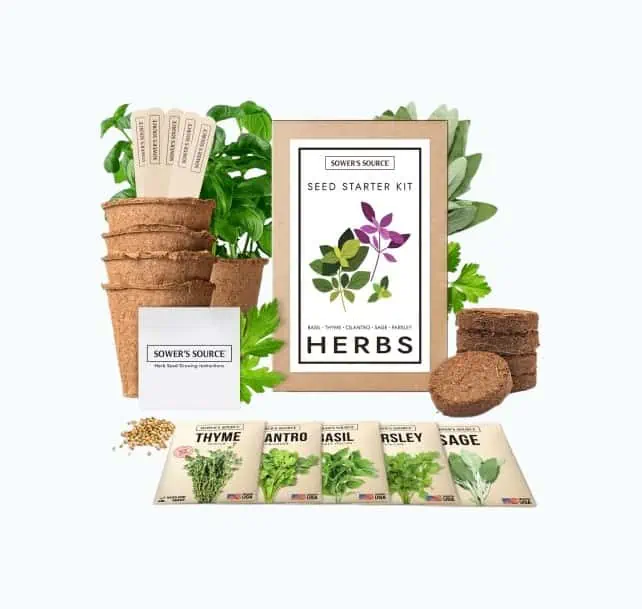 Product Image of the Herb Garden Starter Kit 