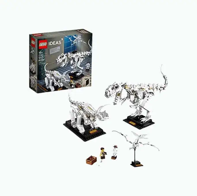 Product Image of the LEGO Ideas: Dinosaur Fossils Building Kit