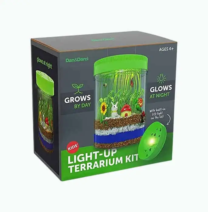 Product Image of the Light-Up Terrarium Kit