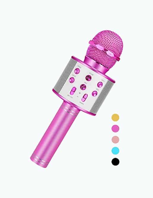 Product Image of the Niskite Karaoke Microphone