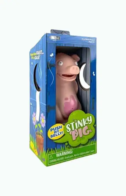 Product Image of the PlayMonster Stinky Pig