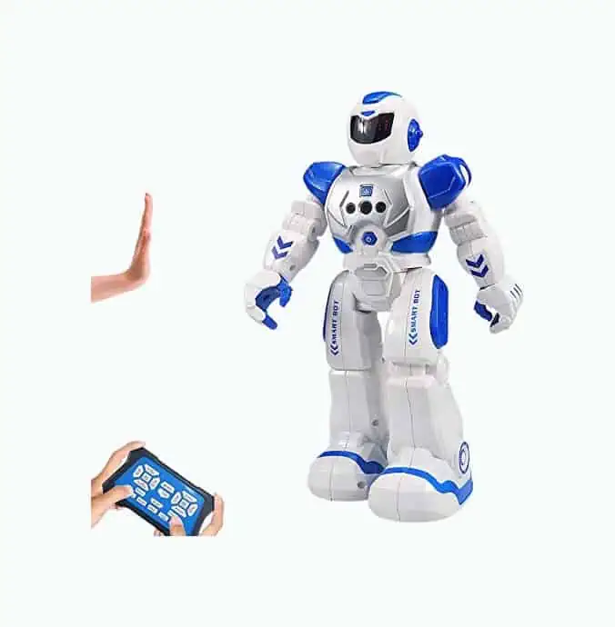 Product Image of the Sikaye Intelligent Programmable Robot