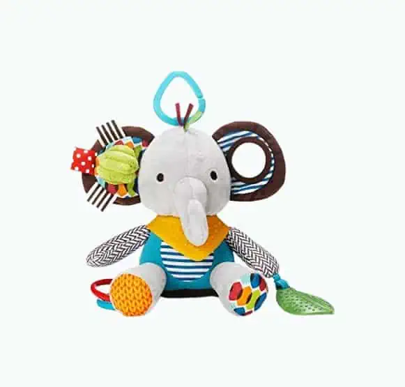 Product Image of the Skip Hop Baby Activity Toy