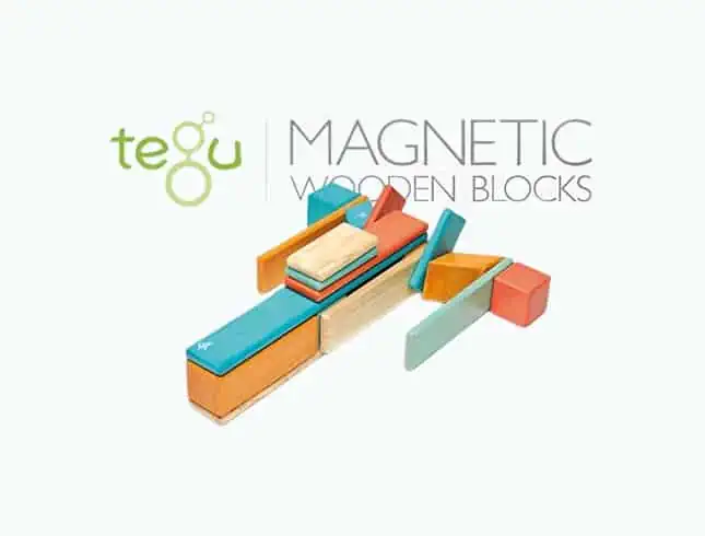 Product Image of the Tegu Wooden Blocks