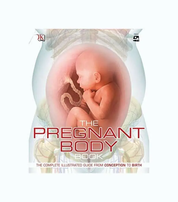 Product Image of the The Pregnant Body Book