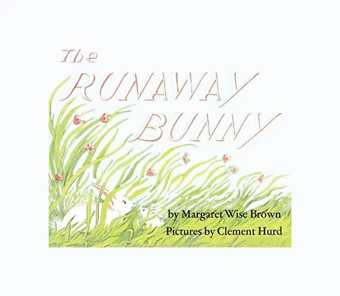 Product Image of the The Runaway Bunny