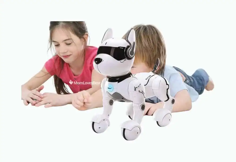 Product Image of the Top Race Dancing Dog