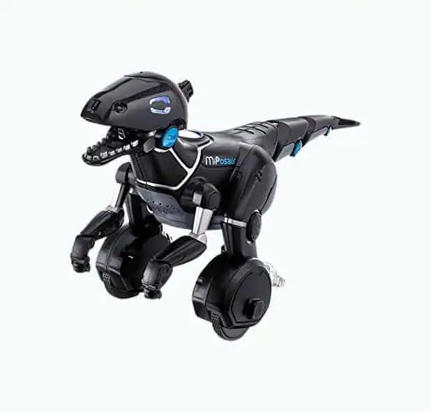 Top 10 Best Robot For Kids